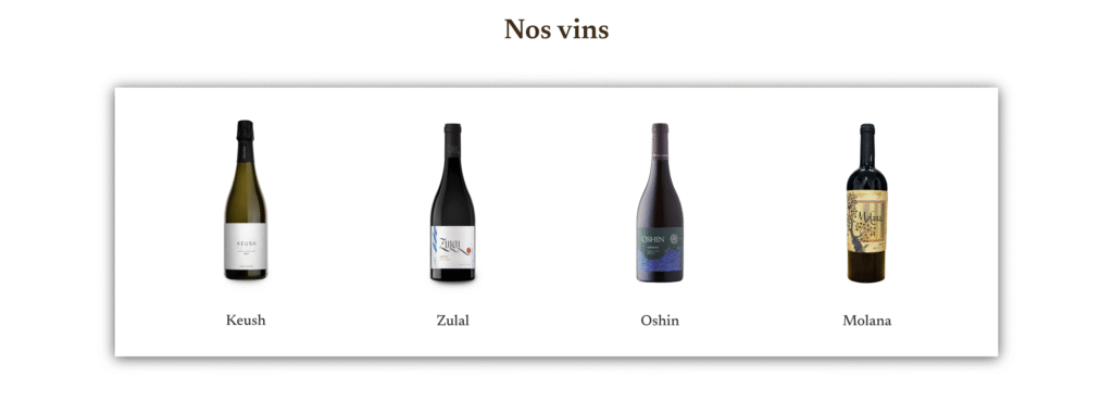 origins wine - boutique - nos vins - suisse